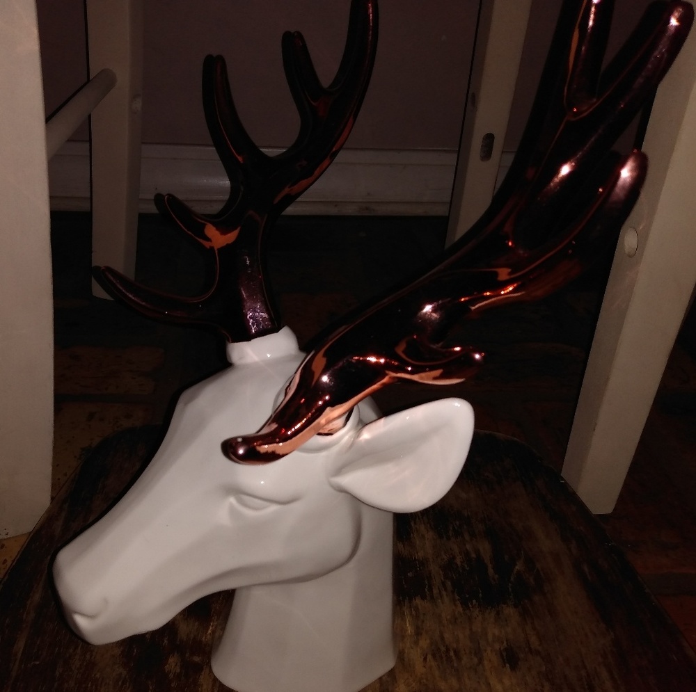 Deer head and antlers decor